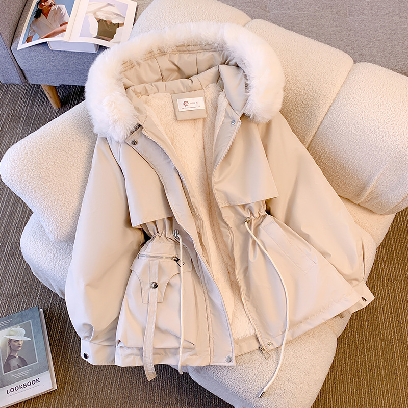 Winter Clothing Manufacturers - Down Cotton Jacket Women 2025 New