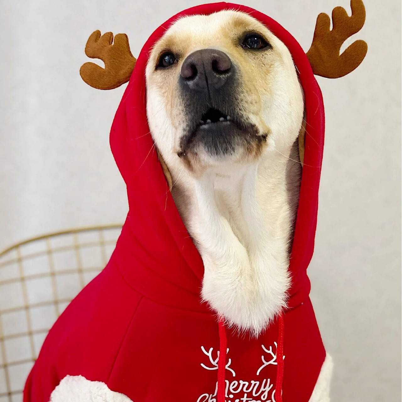 Manufacturers Custom High Qual - Winter Clothing Manufacturers 评论和价格