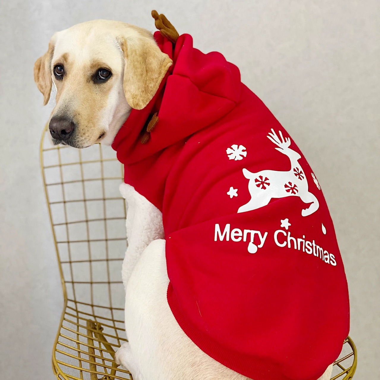 Manufacturers Custom High Qual - Winter Clothing Manufacturers 评论和价格