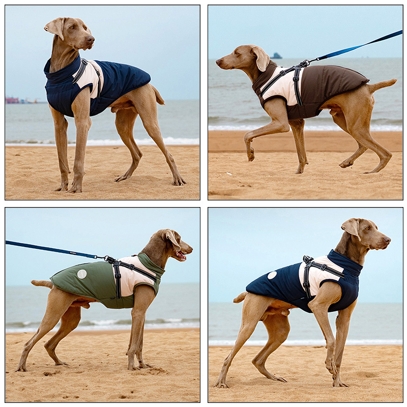 Warm Dog Vest With Built-in Ha - Winter Clothing Line 评论和价格