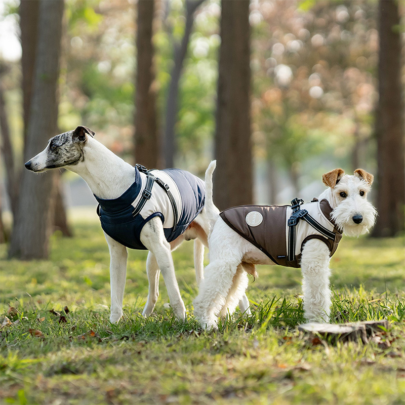 Warm Dog Vest With Built-in Ha - Winter Clothing Line 评论和价格