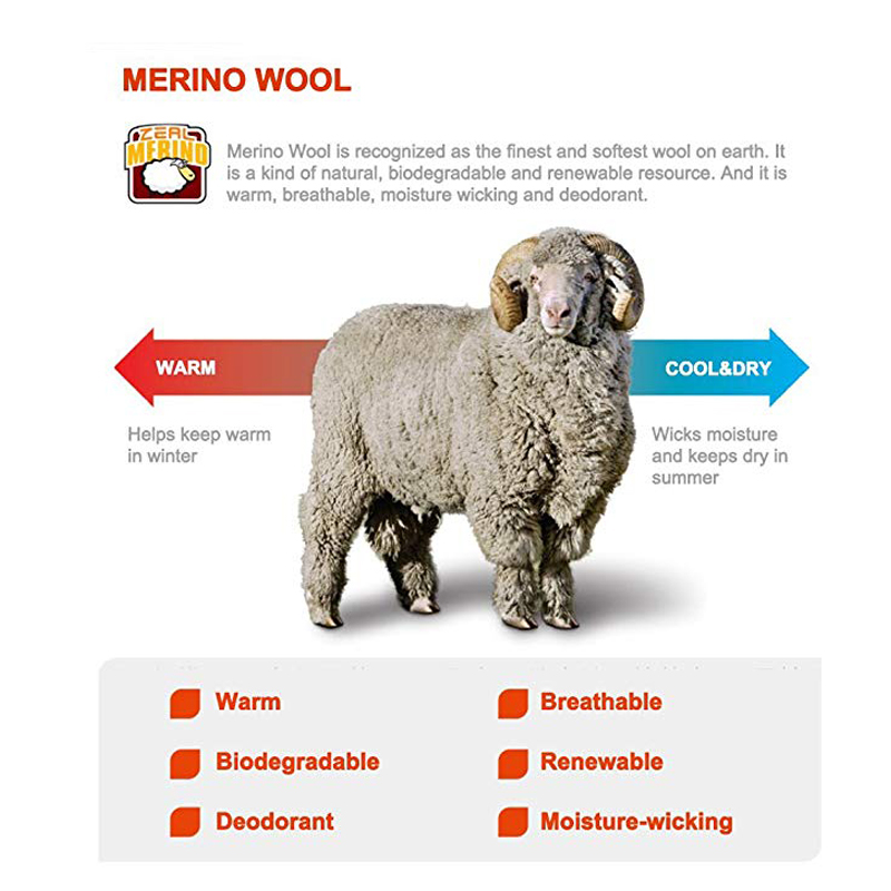 ZEALWOOD Hiking Trekking Men's - Thermal Sock Merino 评论和价格
