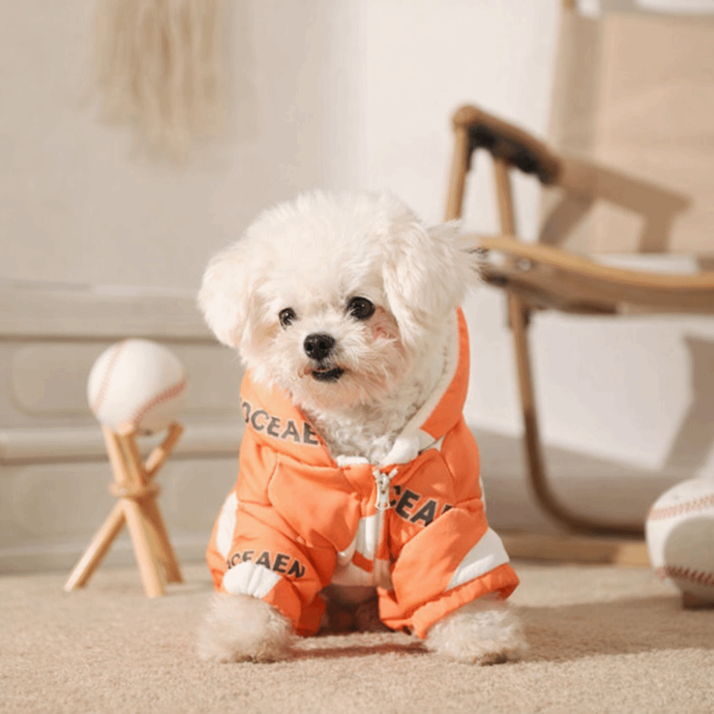 Cute Warm Dog Winter Clothes A - Winter Clothing Line 评论和价格