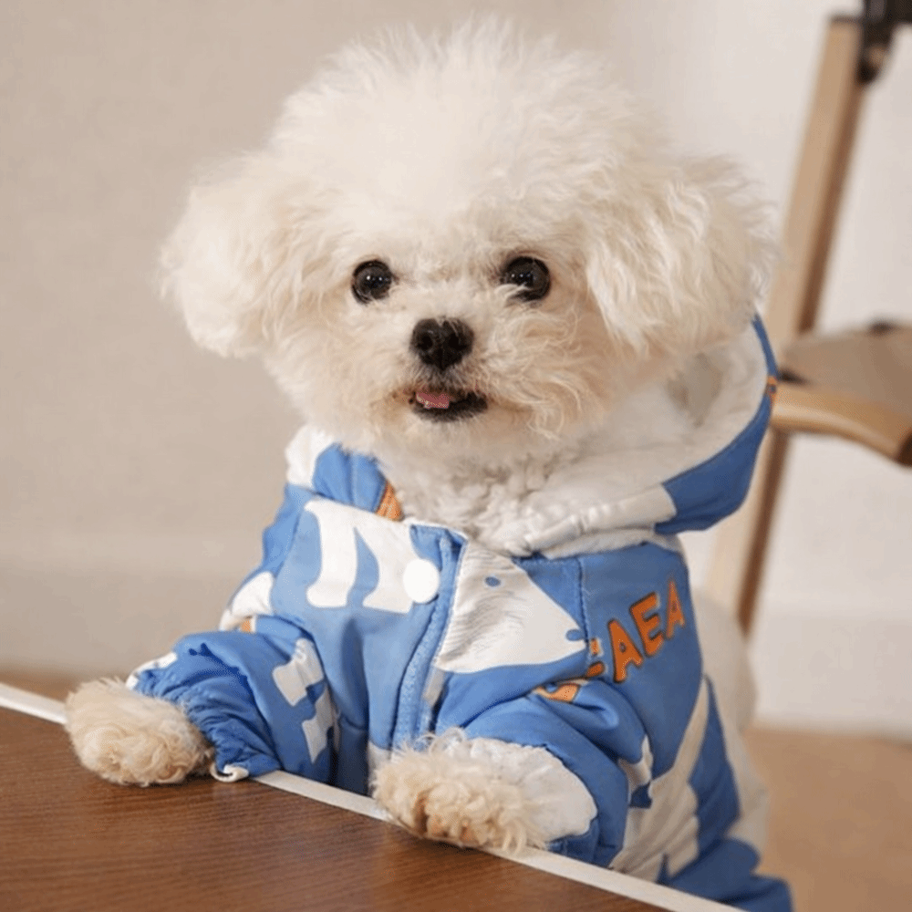 Cute Warm Dog Winter Clothes S - Winter Clothing Line 评论和价格