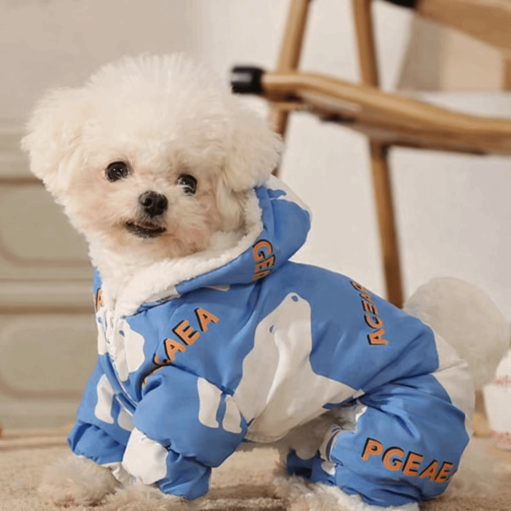 Cute Warm Dog Winter Clothes S - Winter Clothing Line 评论和价格