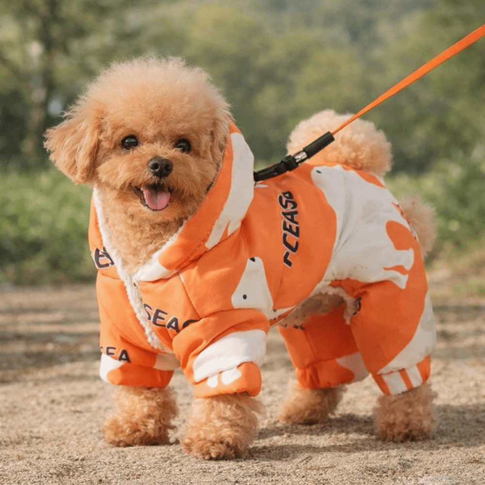 Cute Warm Dog Winter Clothes A - Winter Clothing Line 评论和价格