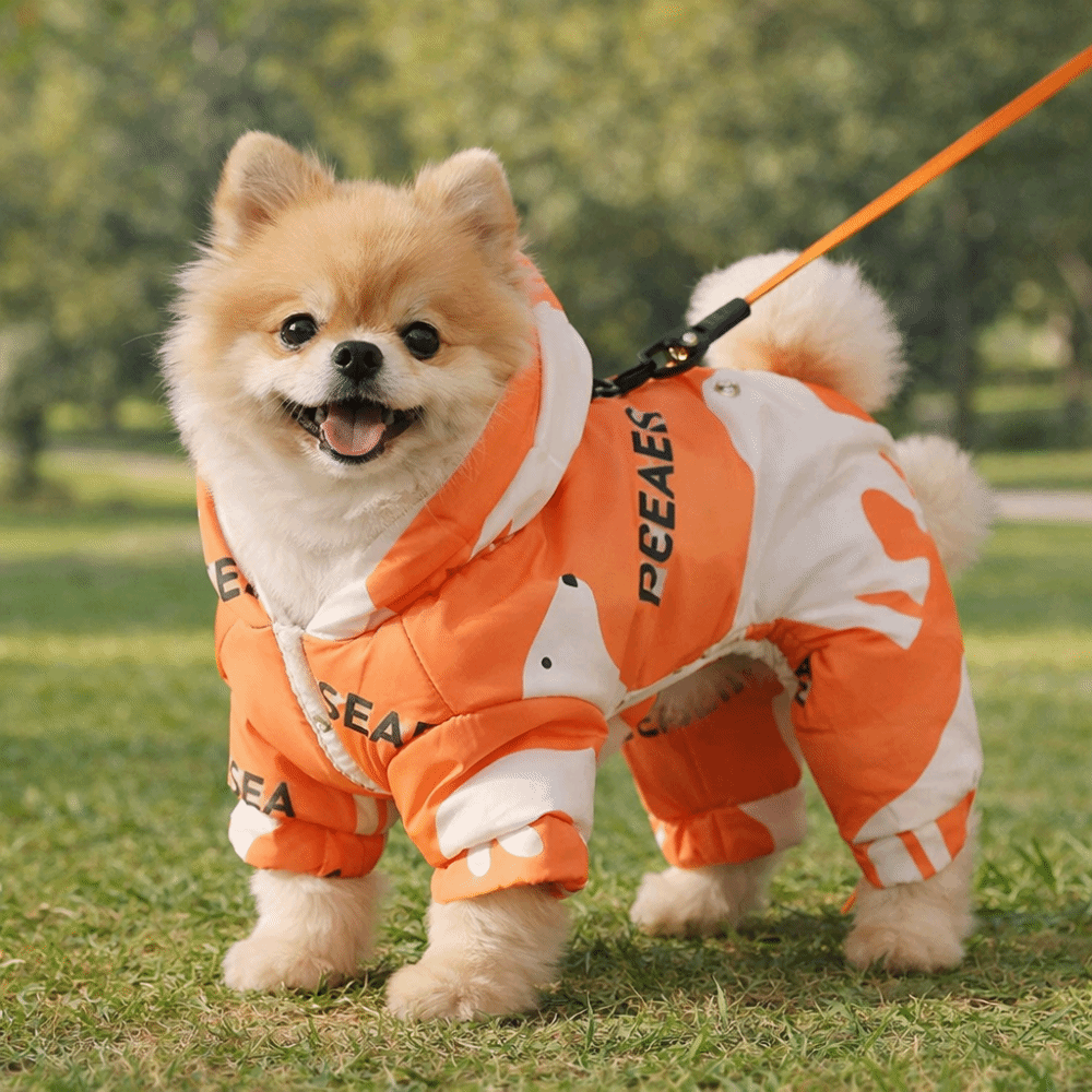 Cute Warm Dog Winter Clothes A - Winter Clothing Line 评论和价格
