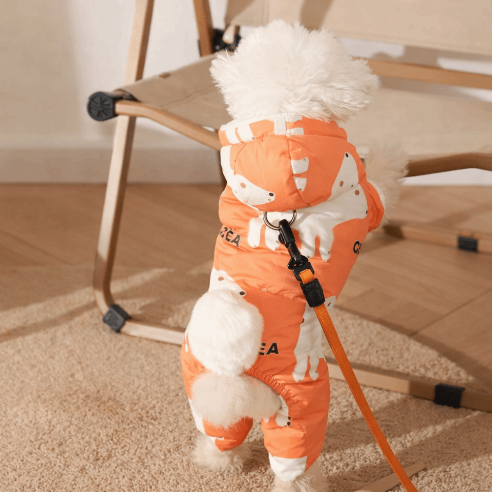 Cute Warm Dog Winter Clothes A - Winter Clothing Line 评论和价格